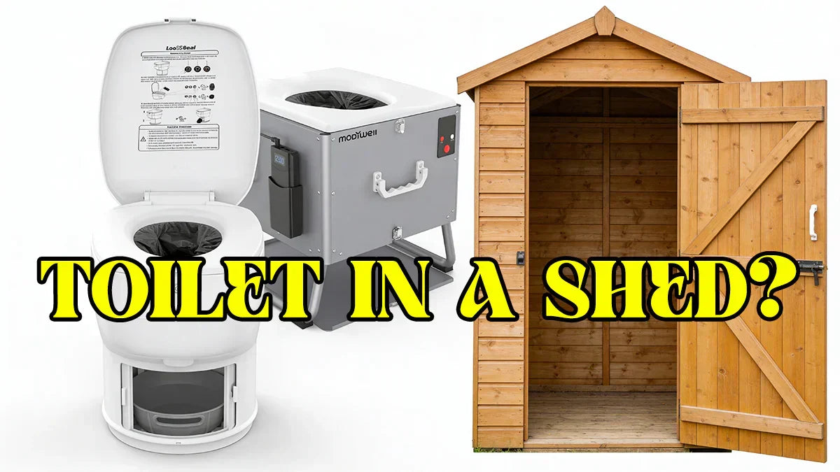 Install a Modiwell dry flush toilet inside the shed.