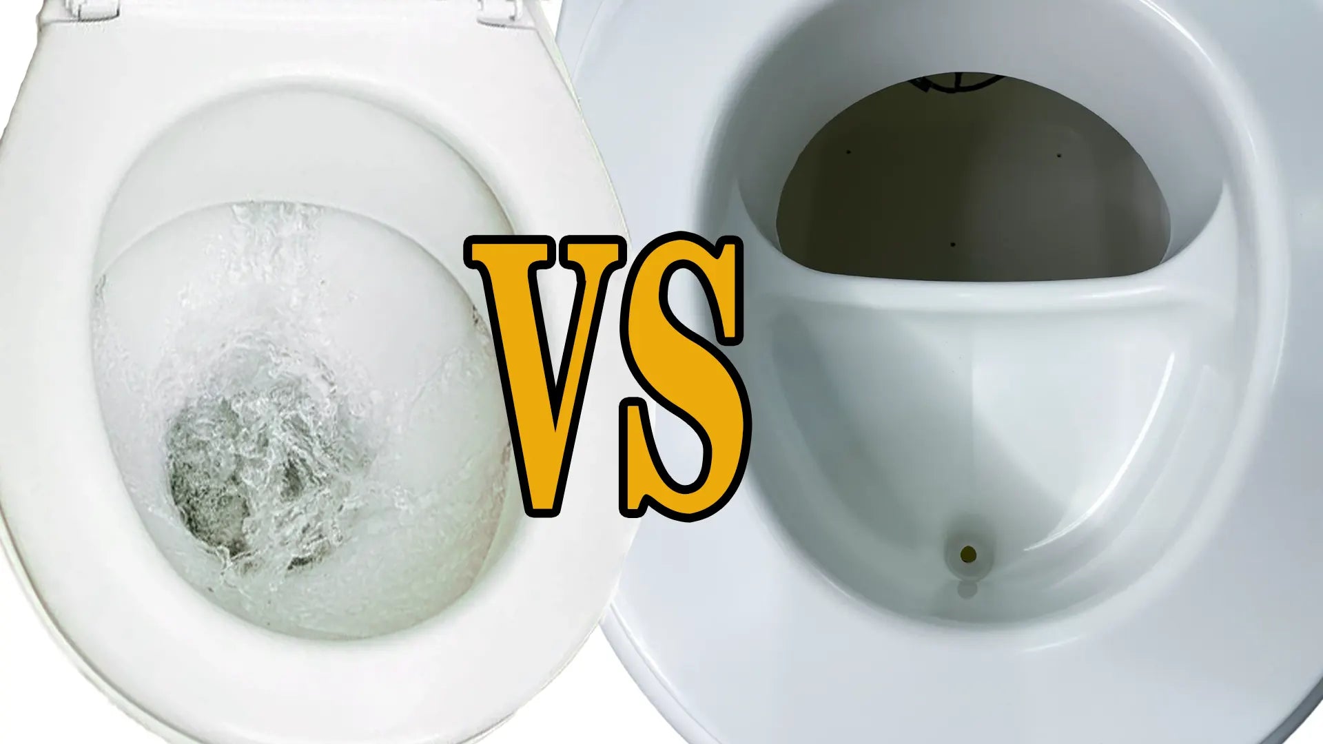 Flush Marine Toilet vs. Dry Composting Toilet