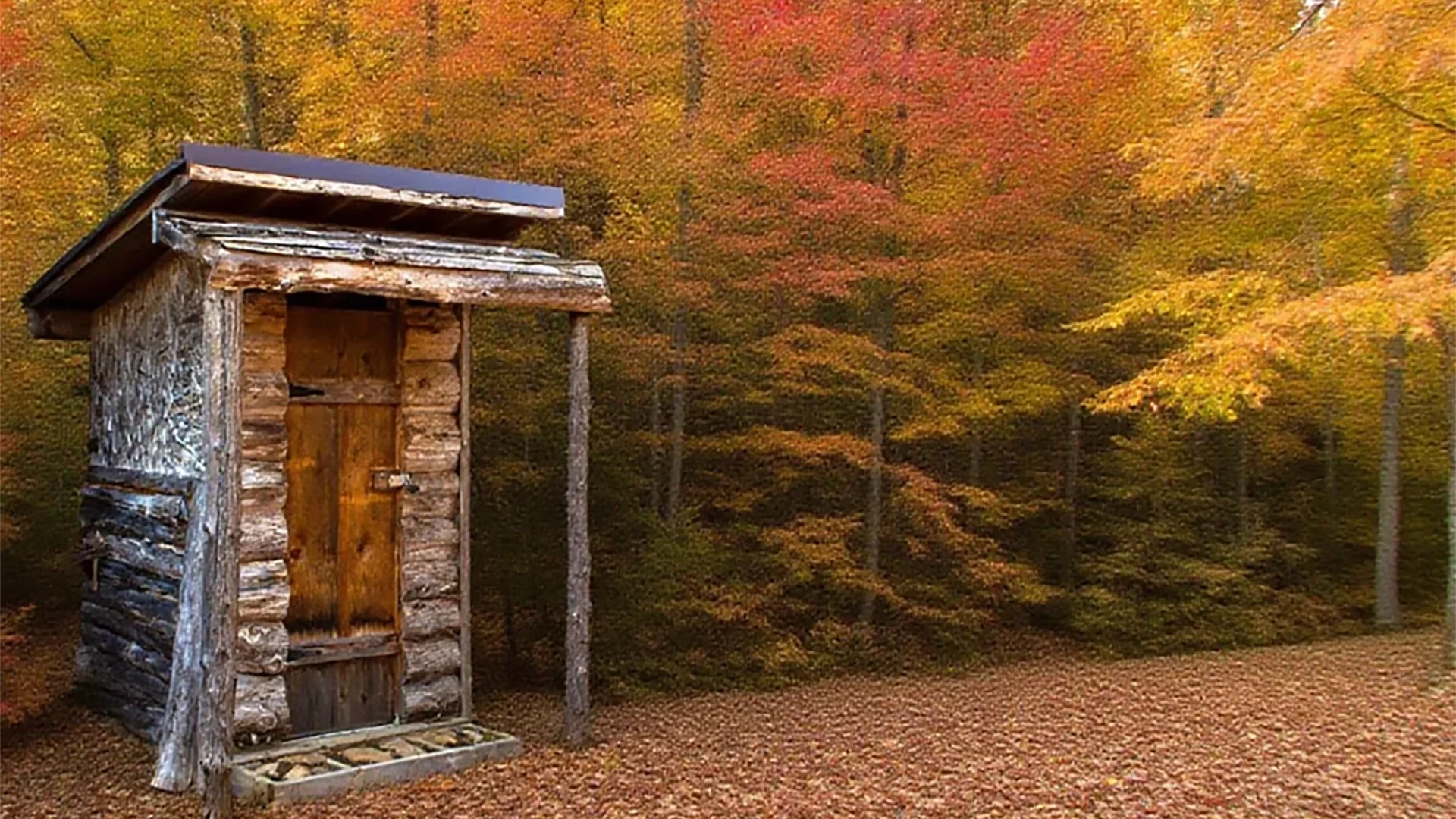Off-grid living toilet