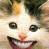 Cat Martin